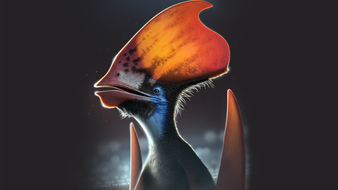 pterosaur with feathers