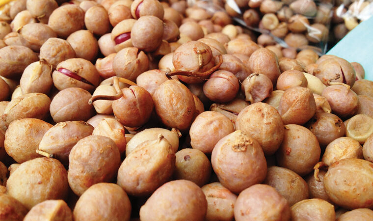 Bambara groundnut