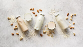 a photo of several bottle of plant milks on a table