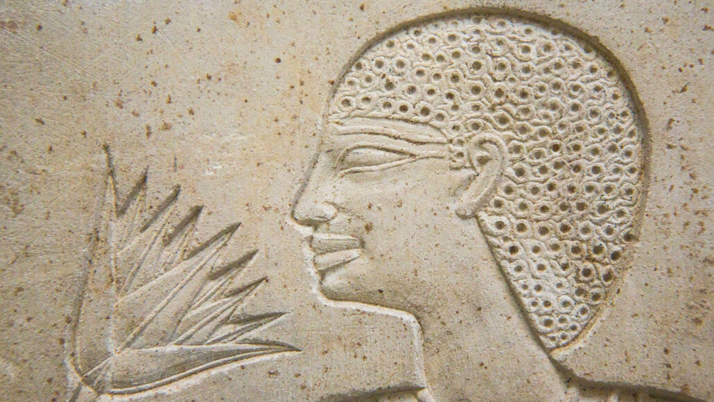 carved relief of an ancient Egyptian queen smelling a lotus flower