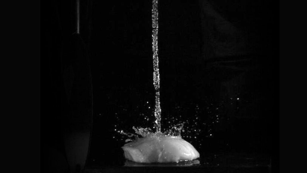 black and white photo of water poured from above splashing on raw chicken