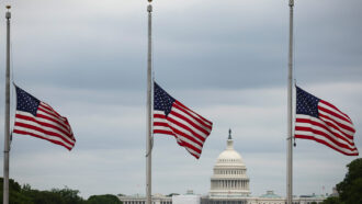 image of three flags at half mask in front of the U.S. capitol building