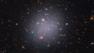 image of NGC 1052-DF2 galaxy