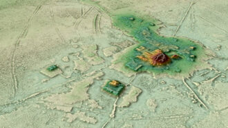 lidar image of Cotoca site