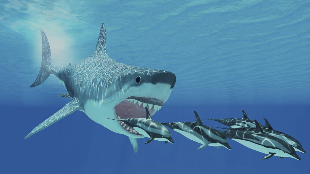 illustration of megalodon about to eat a pod of toothed whales