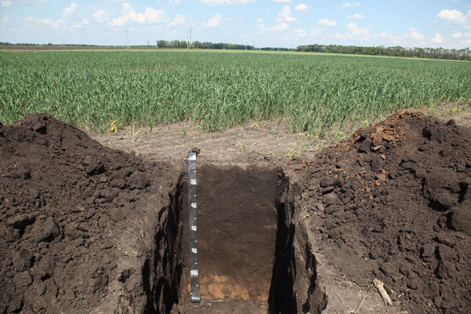 Chernozem, nutrient-rich dark soil, shown dug out in a field