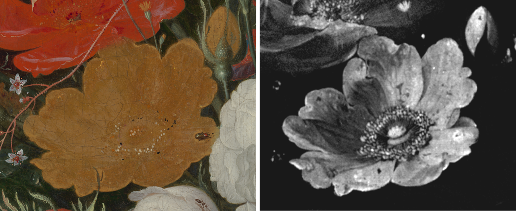 naked eye image next to an X-ray fluorescence image of a yellow rose in the oil painting