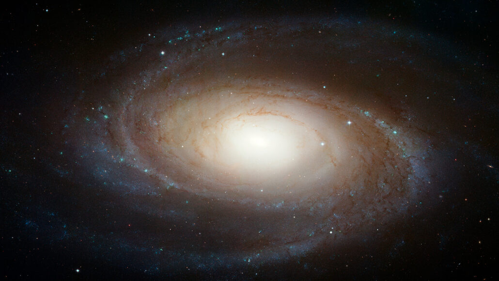 the galaxy M81