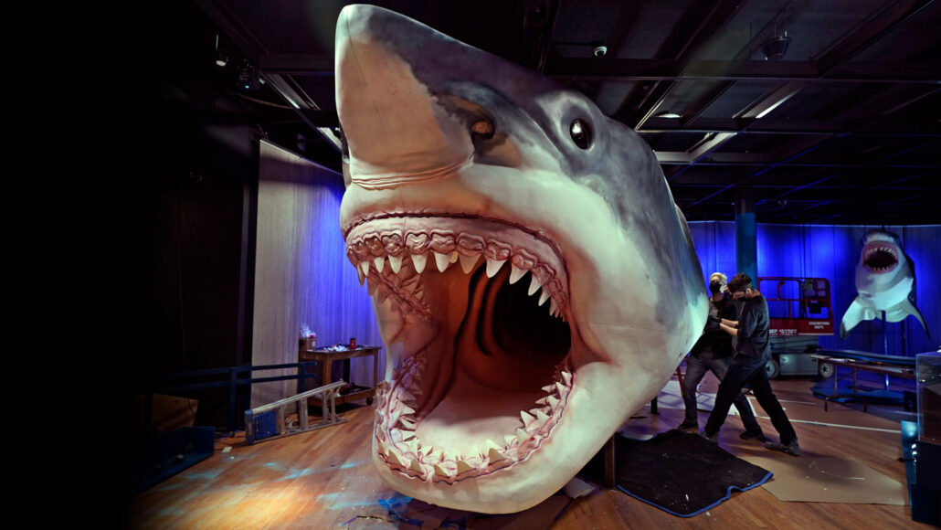 two museum works place a 8-meter-long model of a megalodon shark in a museum display