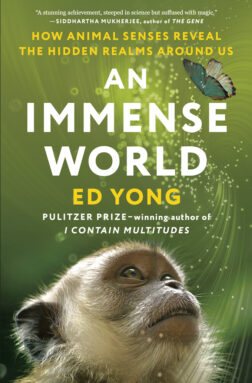Cover of 'An Immense World'