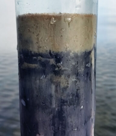 sediment core taken from the Chesapeake Bay