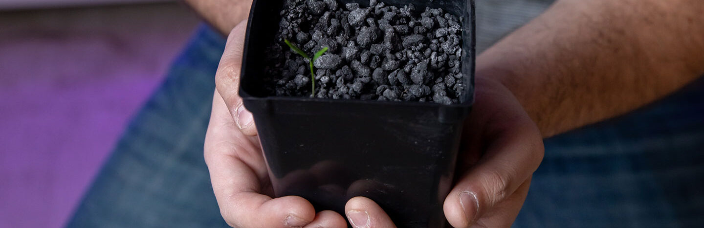 a black container of dark faux asteroid soil and peat moss, held by a man wearing a gray shirt and jeans. There is a tiny chili pepper seedling poking through the dirt