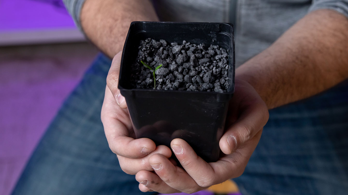astronauts-might-be-able-to-use-asteroid-soil-to-grow-crops