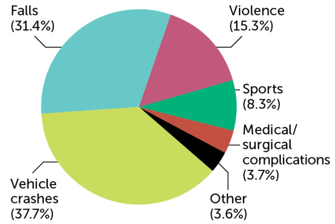 pie chart showing proportions of causes of spinal cord injuries in the United States, with vehicle crashes and falls as the highest percentages