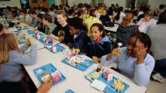 children eating lunch at school