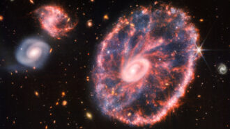 image of the Cartwheel Galaxy taken by JWST