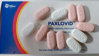 Pink and white Paxlovid pills on a Paxlovid box with the Pfizer logo