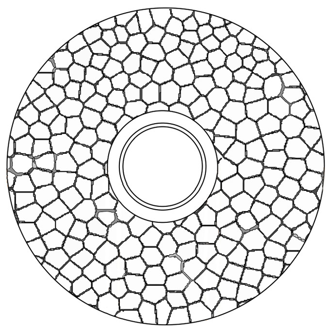 A computer-generated Voronoi pattern in a circular shape, with the outer ring of the circle divided into many small polygons