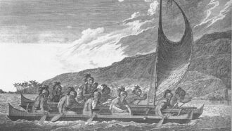 a grayscale drawing of native Hawaiians rowing long boats, one of which has a sail