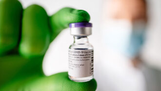 A vial of a COVID-19 vaccine held by a hand wearing a green glove