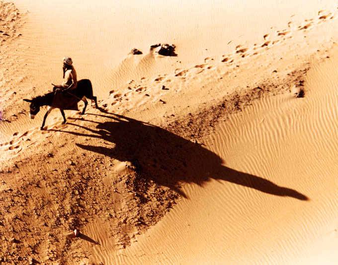 aerial photo of someone riding a donkey through a desert environment