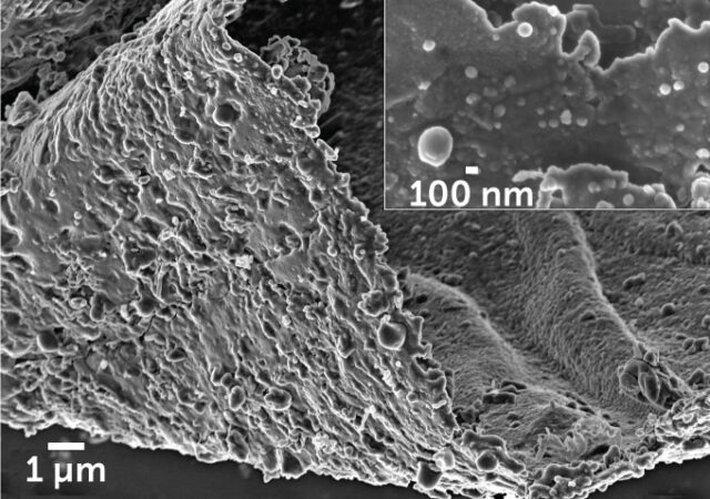 electron microscope image of the surface of Alhambra gilding made of a gold/silver alloy with an inset close-up of gold nanospheres