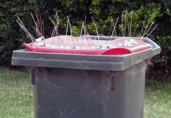 A trash can with a spike-studded lid
