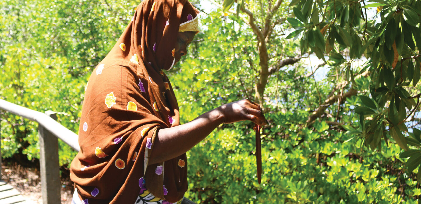 photo of Mwatime Hamadi holding propagule amid a mangrove ecosystem