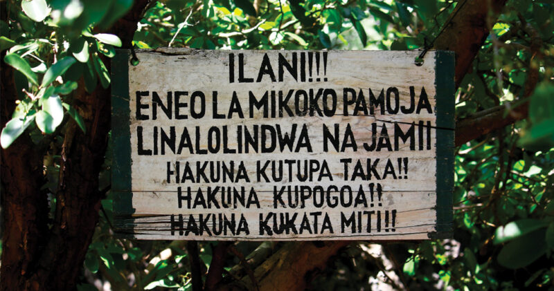 A sign in Gazi Bay mangrove forest in Swahili, which reads: "ILANI!!! ENEO LA MIKOKO PAMOJA LINALOLINDWA NA JAMII HAKULA KUTUPA TAKA!! HAKUNA KUPOGOA!! HAKUNA KUKATA MITI!!"