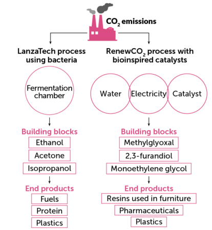 flow chart showing how CO2 emissions are converted via the LanzaTech process using bacteria and the RenewCO2 process with bioinspired catalysts. LanzaTech uses a fermentation chamber to turn CO2 into ethanol, acetone and isopropanol, which are then used to make fuels, proteins and plastics. Renew CO2 creates building blocks like methylglyoxal, 2,3-furandiol, and monoethylene glycol to make end products like resins used in furniture, plastics and pharmaceuticals.