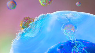 illustration of a blue immune cell gobbling up rainbow-colored immune proteins