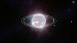 Neptune and its rings as seen in infrared by JWST