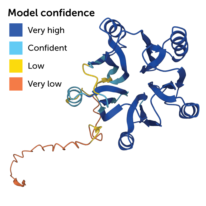 predicted model of F20H23.2