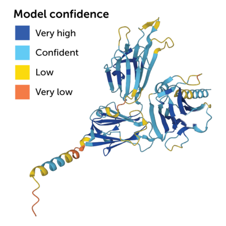 predicted model of gametocyte surface antigen 48/45