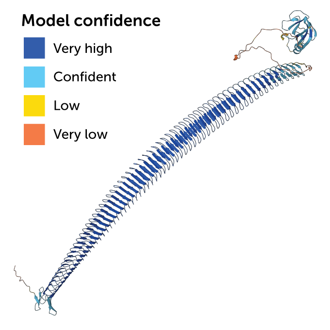 predicted model of the ice nucleation protein