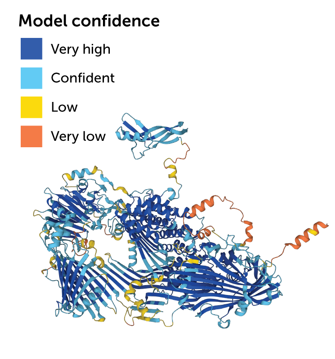 predicted model of vitellogenin