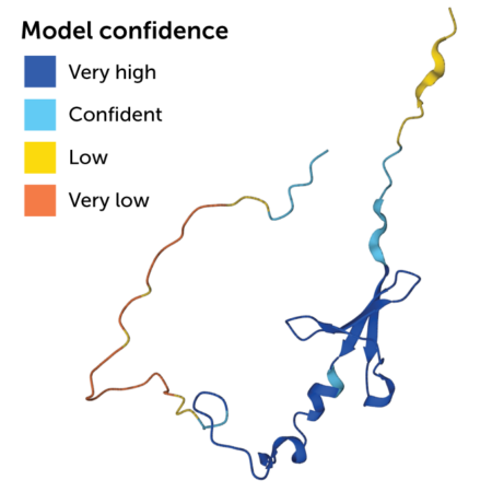 predicted model of eukaryotic translation initiation factor 4E-binding protein 2