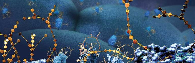 Large surface proteins with chains of sugars (illustrated, yellow) are shown on the outside of a cancer cell in this illustration of bioorthogonal or click chemistry, the subject of the 2022 Nobel Prize for Chemistry