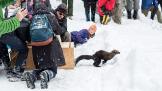 photo of people gathered around a