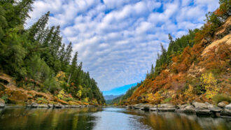 The Rogue River with trees and rocks on either side.
