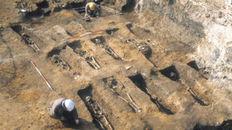 archaeologists excavating graves of plague victims at a London cemetery