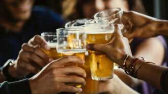 Several people hold up glasses of beer in a cheers motion