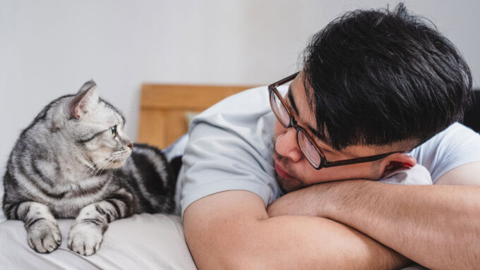 A man lays on a bed looking at a gray cat next to him on the bed.