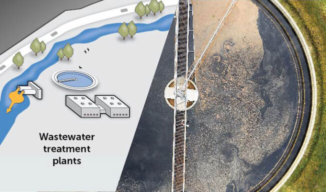 composite of an illustration of a wastewater treatment plant leaching chemicals into a river and a photo of a pool at a wastewater treatment plant
