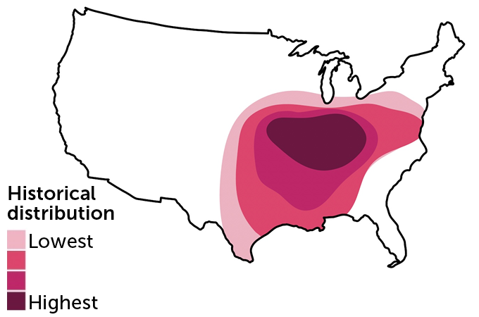 120622_ti_fungi-spread_inline1-a.png