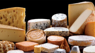 A collection of different cheeses stacked in a pile with a black background.