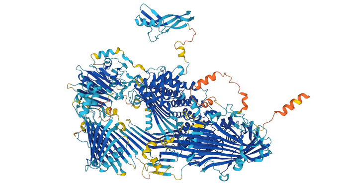 an image of a protein structure