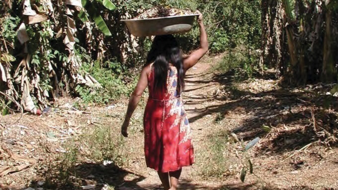 agric essay 2021 An Amazonian woman walks away from the camera while holding a large basket on her head.