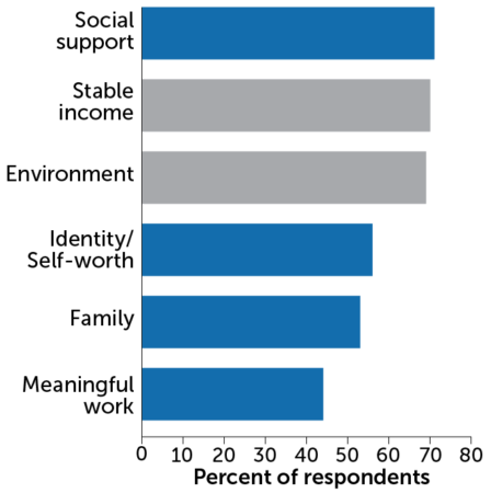 bar chart showing that people show social support and stable income as the two most common factors needed to flourish in life