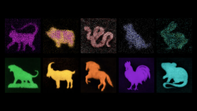 tiny animals from the Chinese zodiac, made in hydrogels of different colors. Top row from left: purple monkey, yellow and purple pig, yellow and purple snake, bluish gray dog, green rabbit. Bottom row from left: green tiger, yellow goat, orange horse, purple rooster, teal rat.